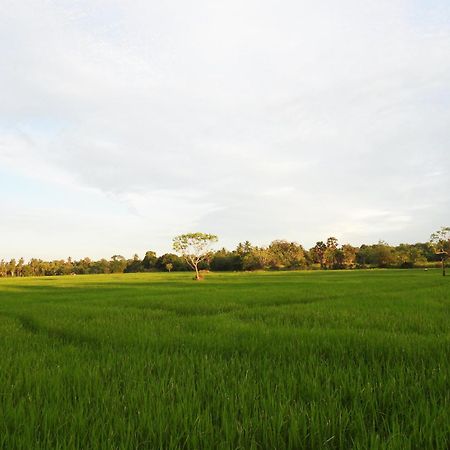 Green Sapphire Holiday Resort Wilpaththu Wilpattu Exterior foto