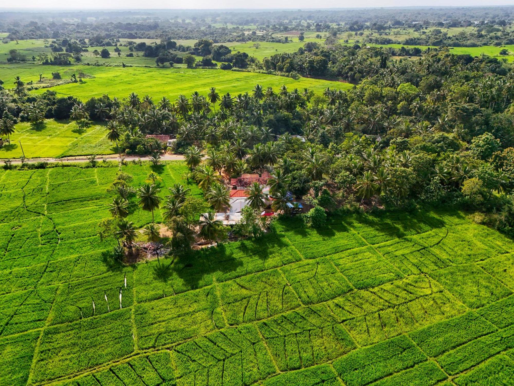 Green Sapphire Holiday Resort Wilpaththu Wilpattu Exterior foto