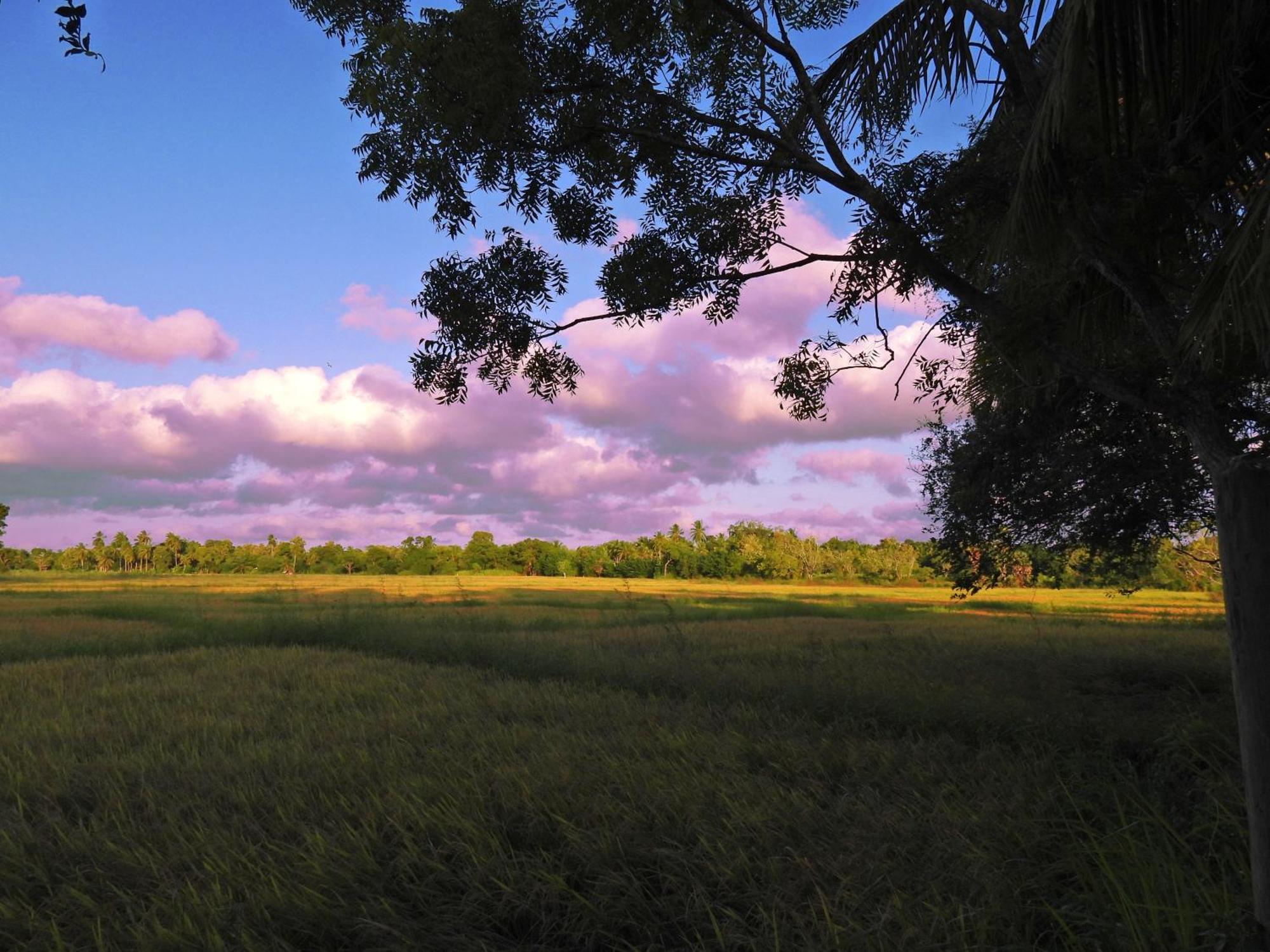 Green Sapphire Holiday Resort Wilpaththu Wilpattu Exterior foto